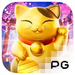 sevenlernakliyat: Lucky Neko